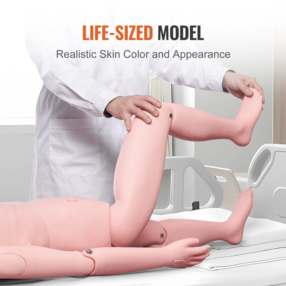Male Nursing Training System with Realistic Tissue Response and Durability