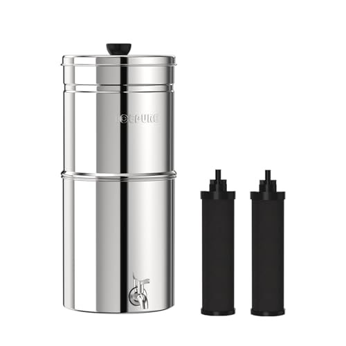 2.25G Gravity-fed Water Filter System, 304 Basic 2 Carbon Filters System