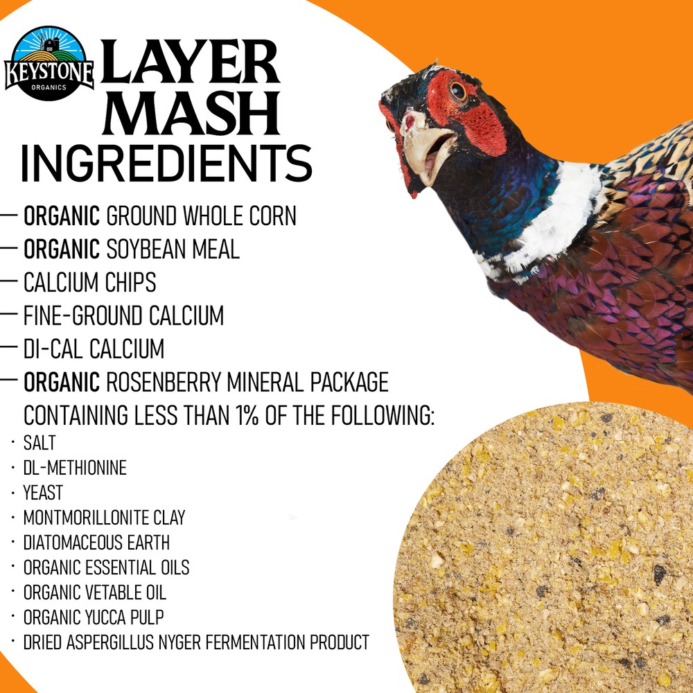 Keystone Organics USDA Layer Mash Chicken Feed, 44lbs