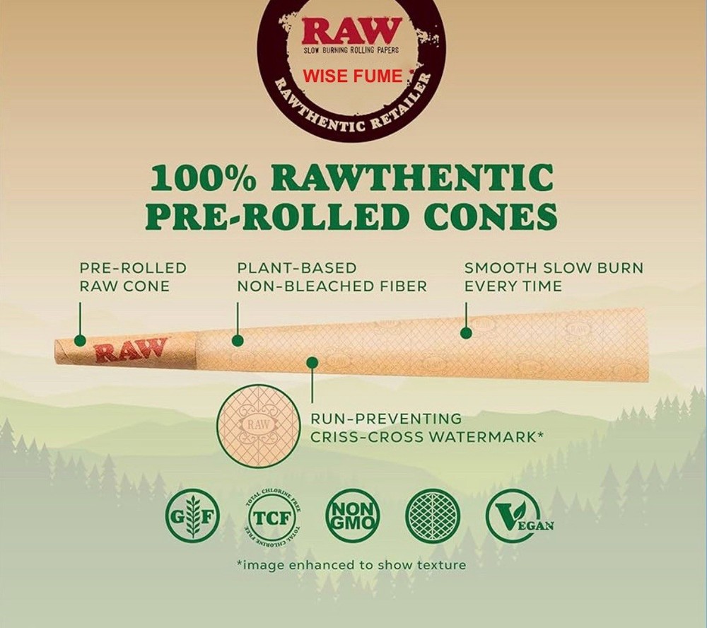 RAW black KING size pre rolled cone + Raw Three Tree Cone Case