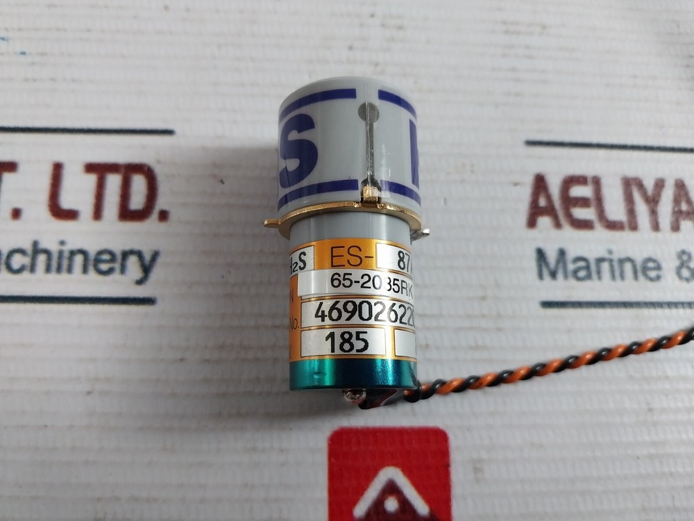 Rki Instruments 65-2035rk Hydrogen Sulfide (H2S) Replacement Sensor