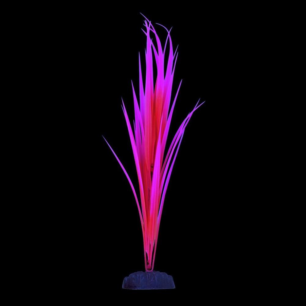 RA Glow Sagittaria - Pink (2 Pack)