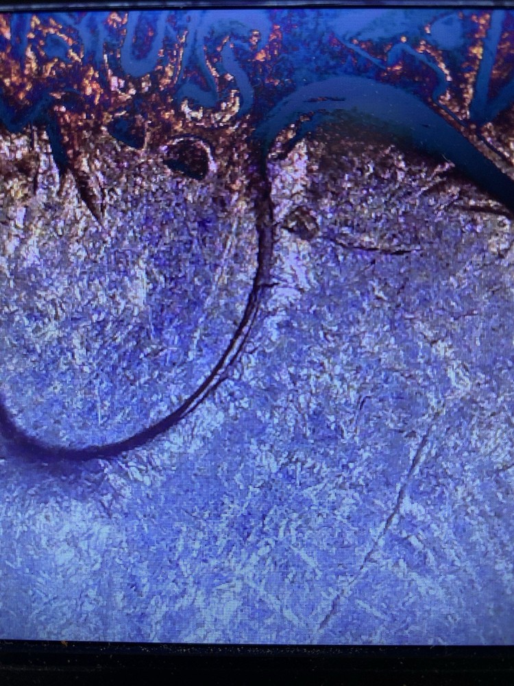 🔥1987 P Washington Quarter With Multiple Double Die Errors🔥