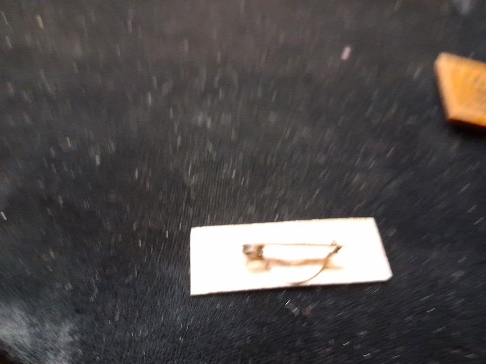 Vtg. YMCW Pin