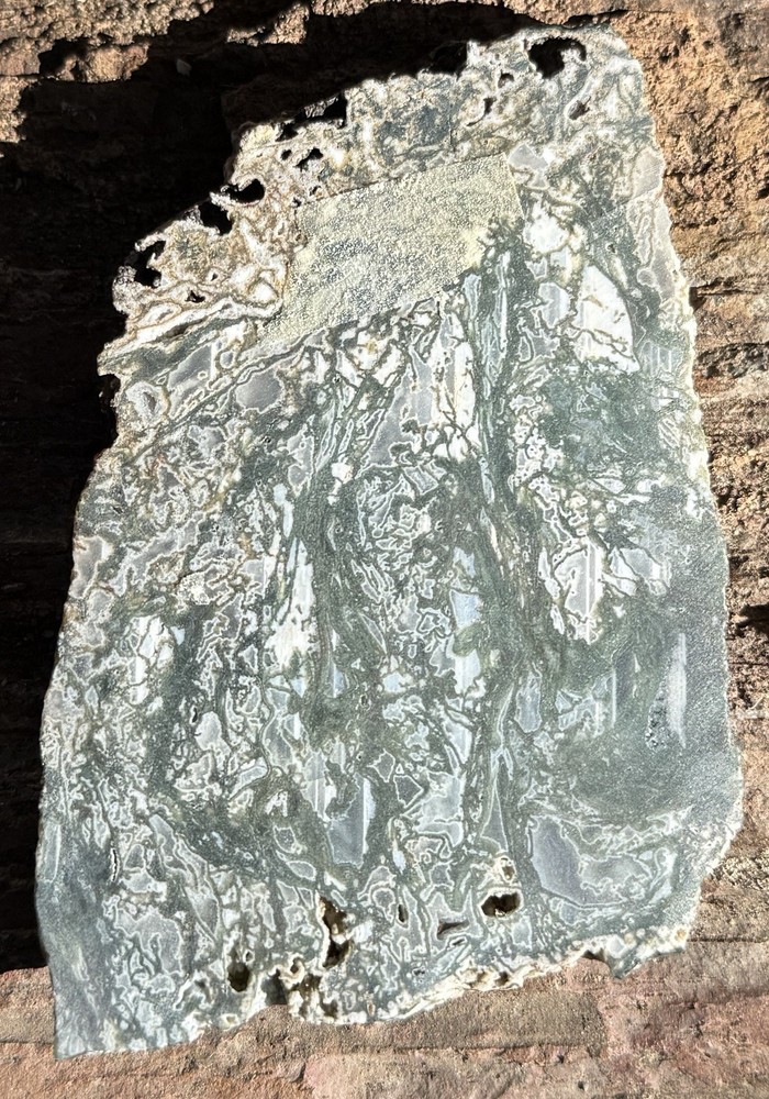 Polished Oregon Moss Agate Slab