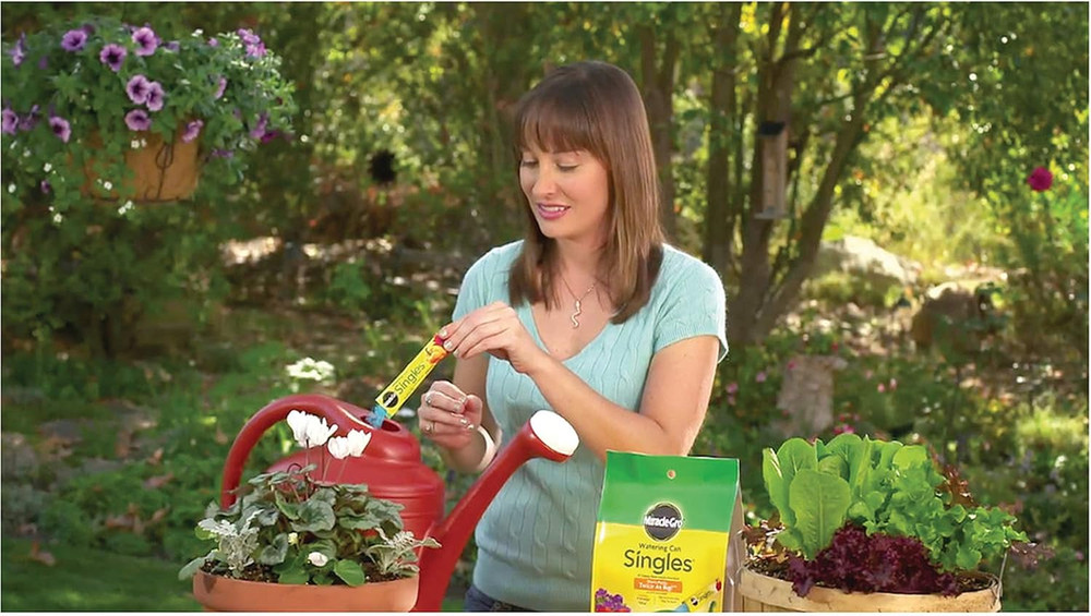 Miracle-Gro Watering Can Singles Includes 24 Pre Measured Packets (6 Pack)