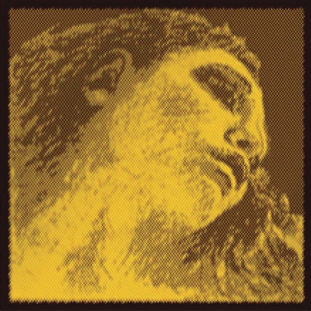 Pirastro Evah gold cello A strings 4/4