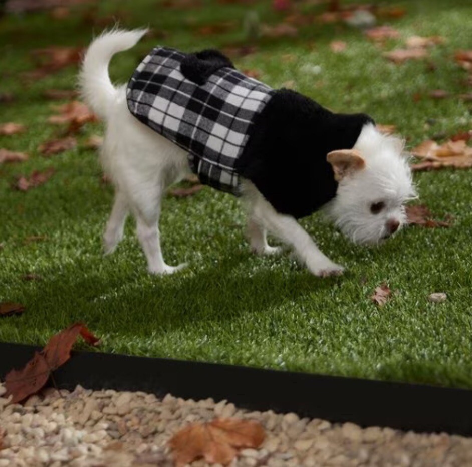 NWT  WINTER PET JACKET, BLACK  & WHITE PLAID, SIZE LARGE, SOFT AND COMFY❤️