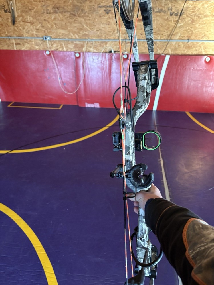 Left Handed Bear Paradox