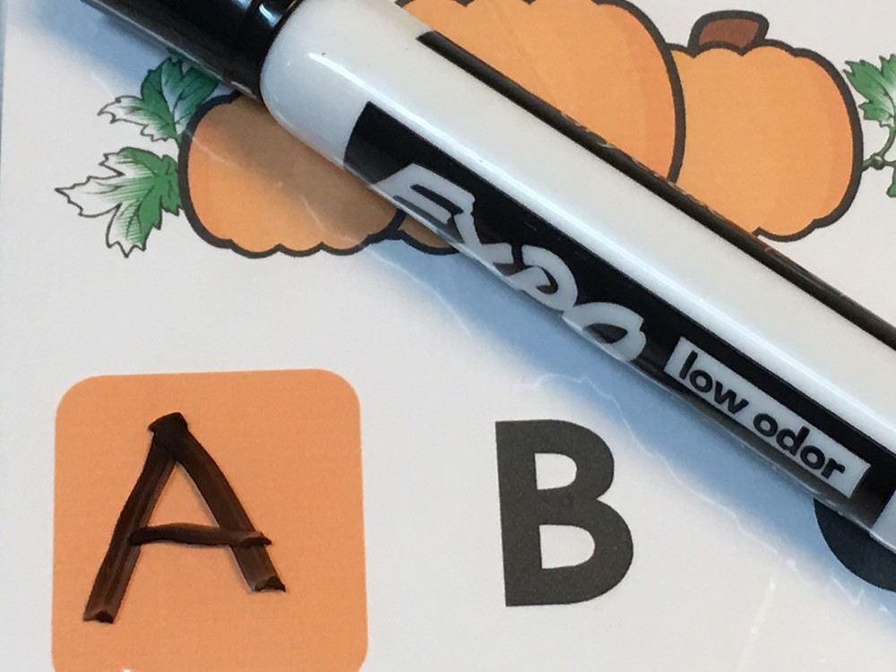 Pumpkin Patch Dry Erase - Laminated Activity Set - Missing Letters
