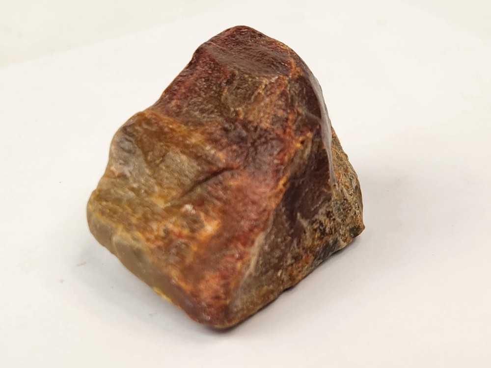 Petrified Wood - Eocene - Jackson Group (?) - Grimes Co., TX
