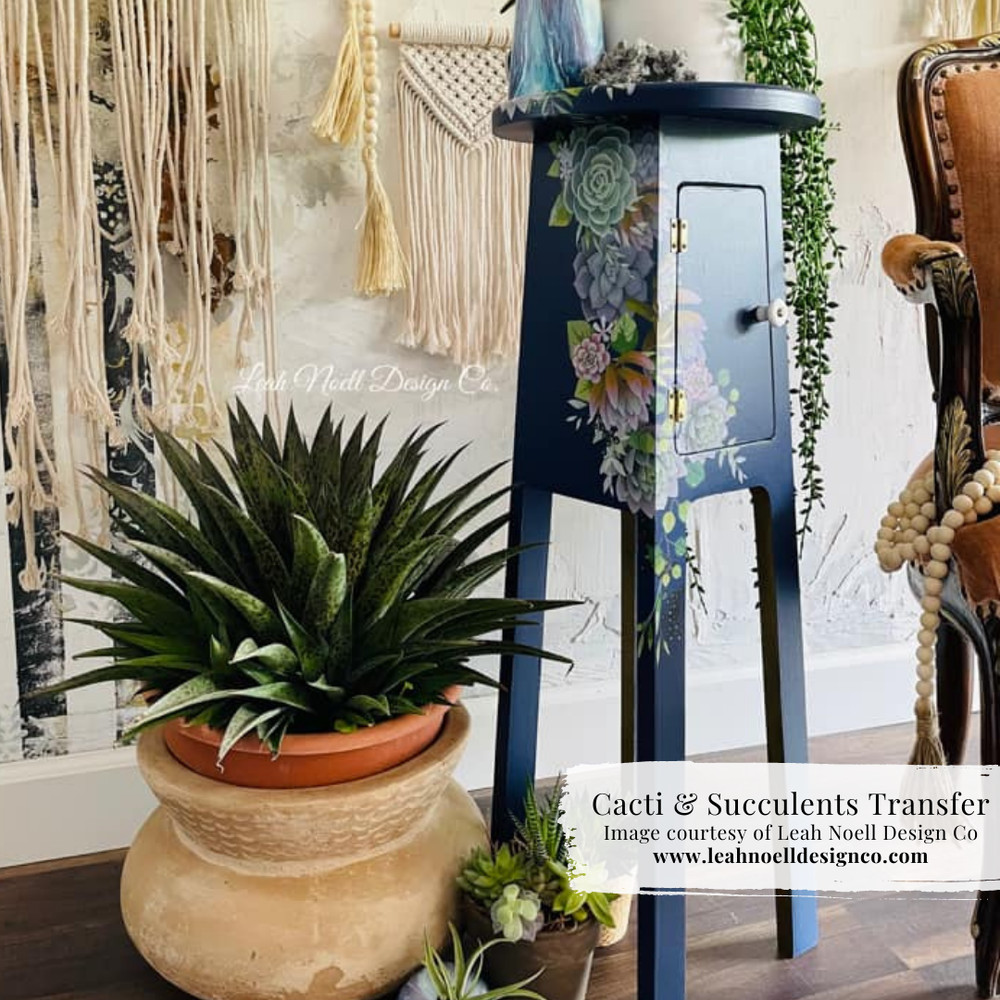 Cacti & Succulents Transfer