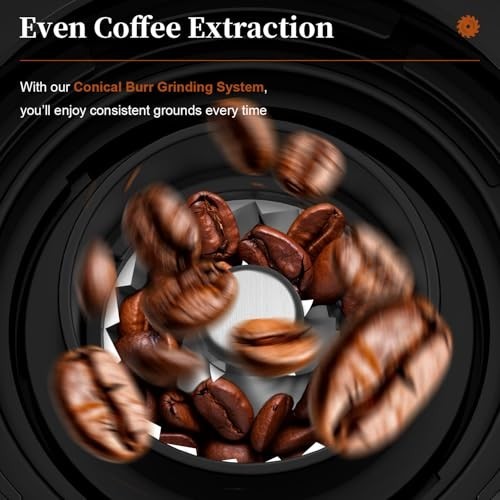 Conical Burr Coffee Grinder Electric - 200W Compact Automatic Coffee Bean Grinde