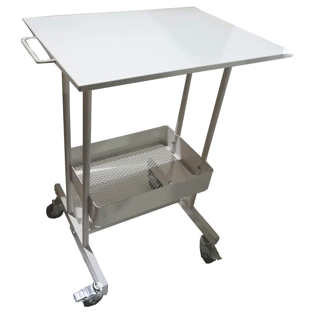 Steel Multi-functional Mobile Cart 2 Layers Cart Trolley with Storage Box