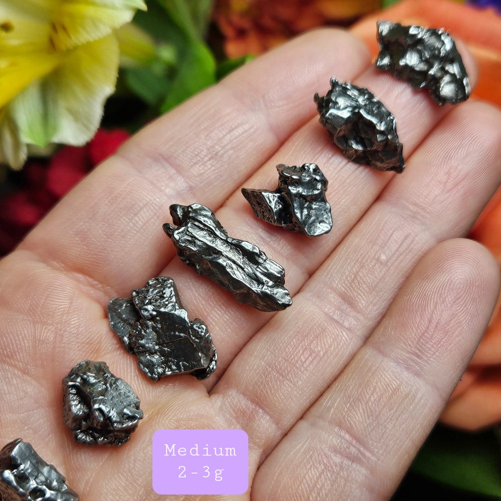Meteorite Specimen