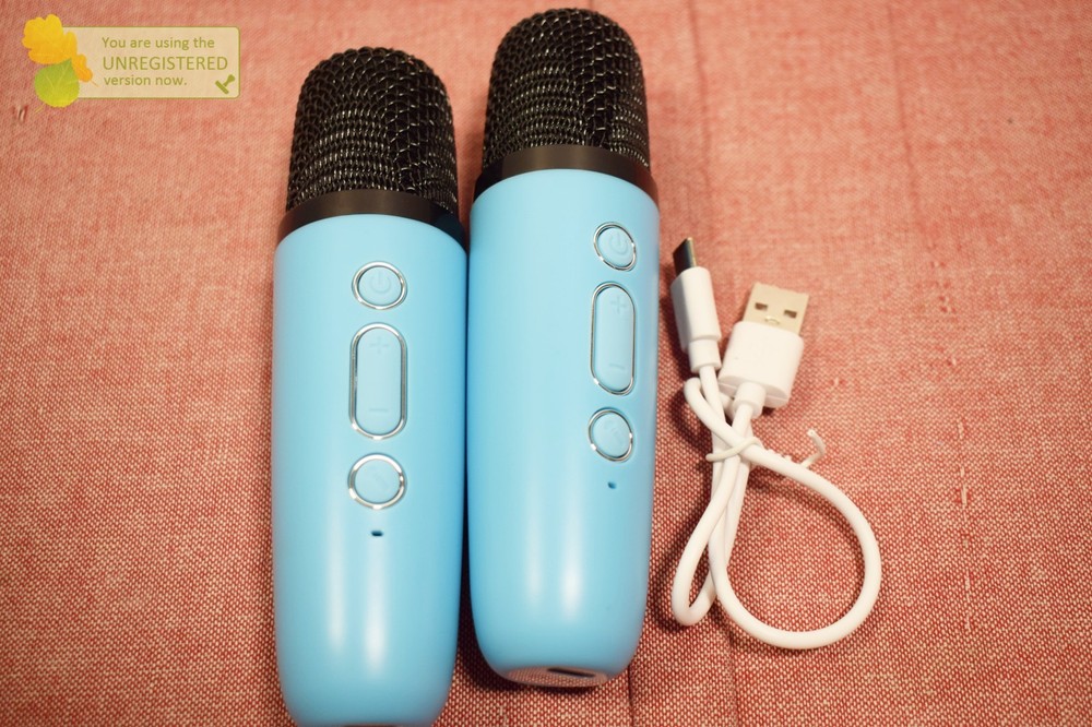 Mini Karaoke Machine with 2 Wireless Microphones