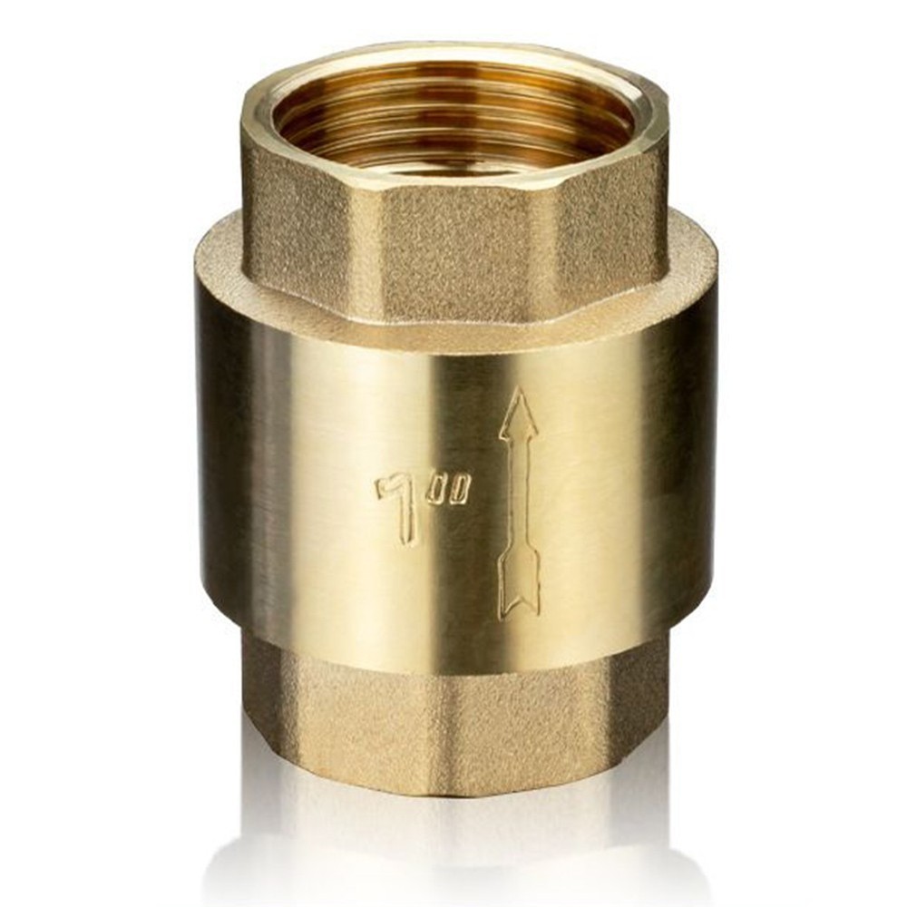 High Quality Valve Vertical Check Valve External Threaded For High Loads