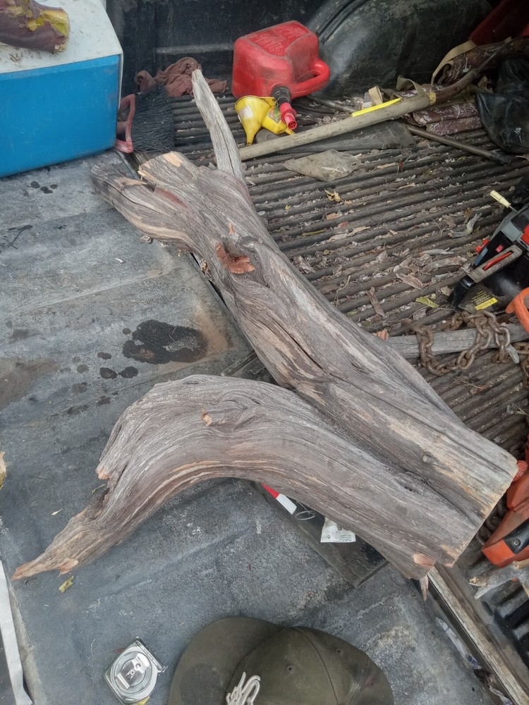 manzanita wood