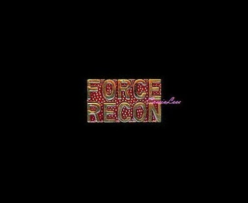 USMC Force Recon (script) + a custom promo pin