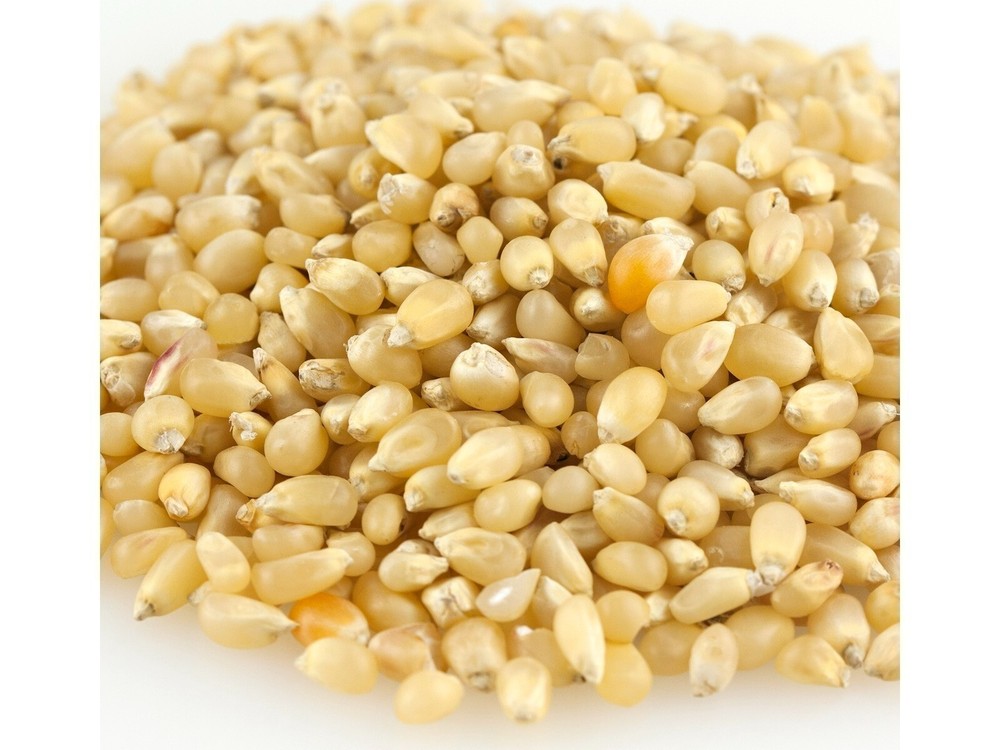 Baby White Bulk Popcorn 1 Pound Popcorn Kernels