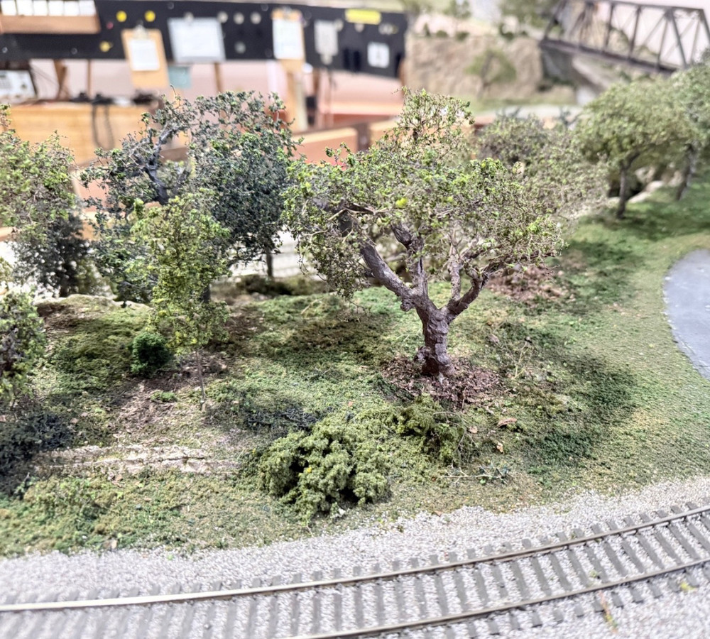 Five Model Railroad Scenery Diorama & Foreground Quality Trees
