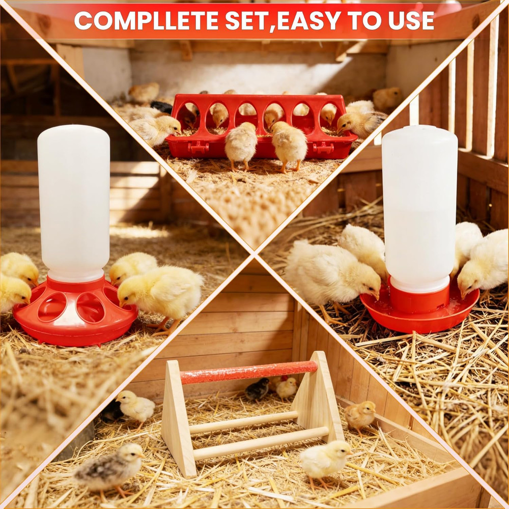 Chicks Brooder Box for Chicken Starter Kit–Includes Heat Lamp, Chick Feeder and