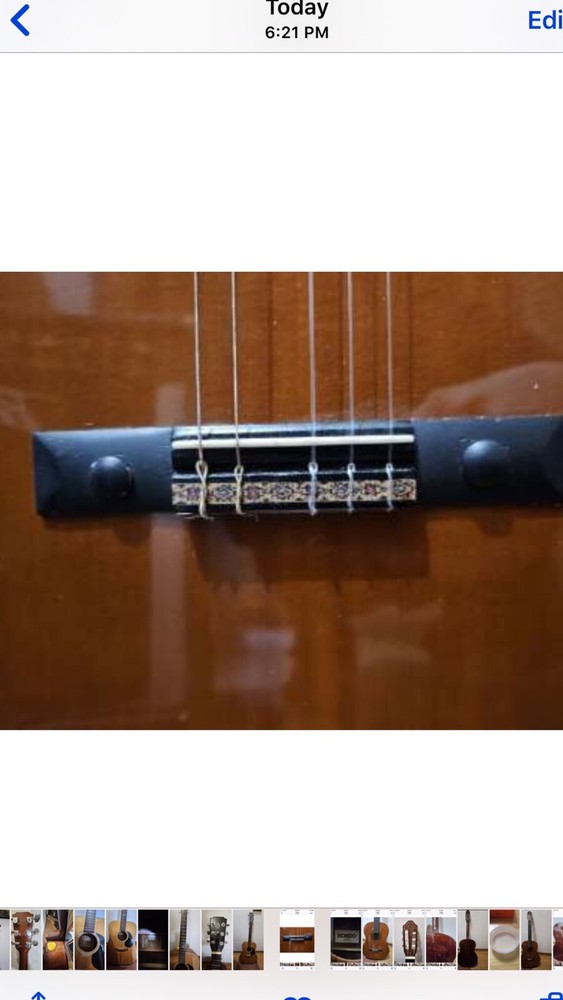 hondo fancy classical guitar model H310C