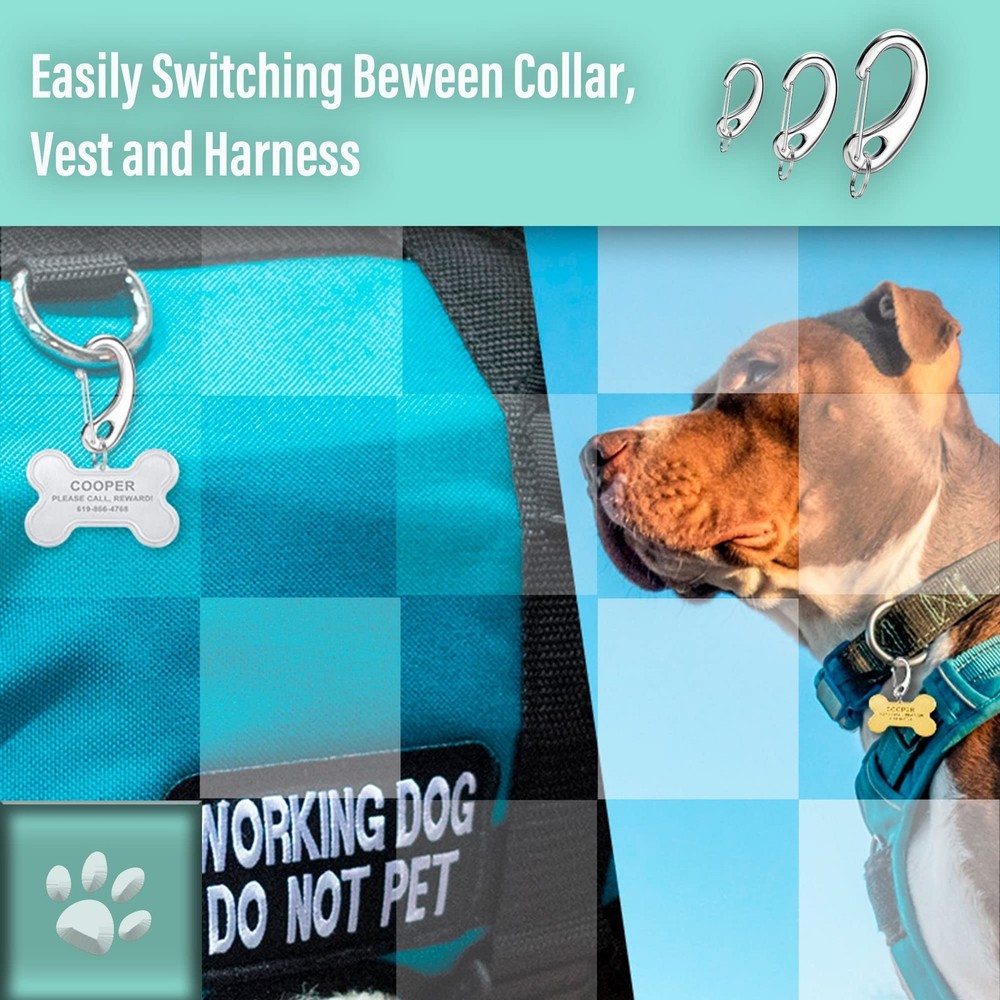 Pet Tag Quick Clip/Spring-Load Hook Combo for Pet ID Tags - 2 Standard