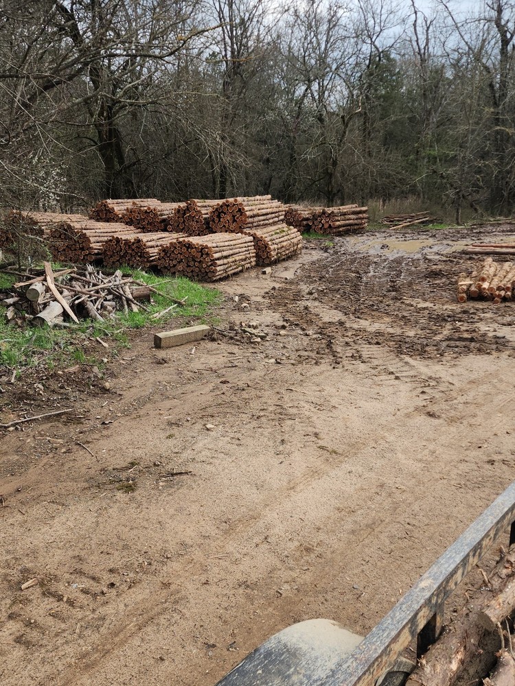 Red Cedar craft logs