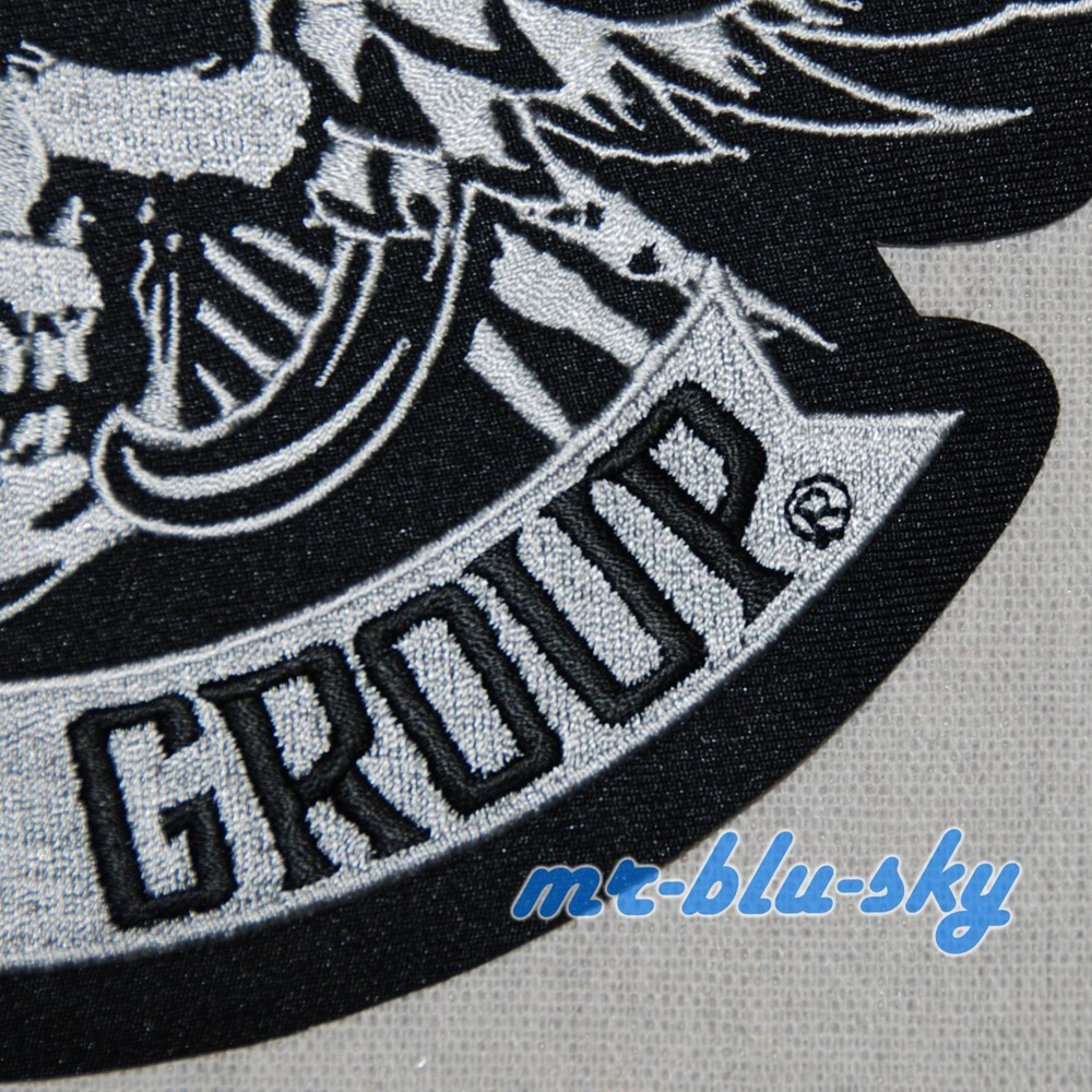 Small Winged Silver Skull Patch ~ Harley Davidson Owners Group H.O.G.