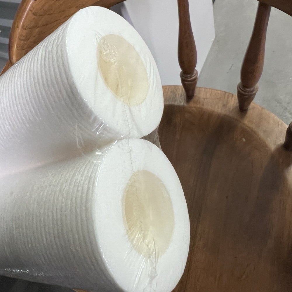 American Plumber WPD-110 Whole House Sediment Filter Cartridge (2-Pack)