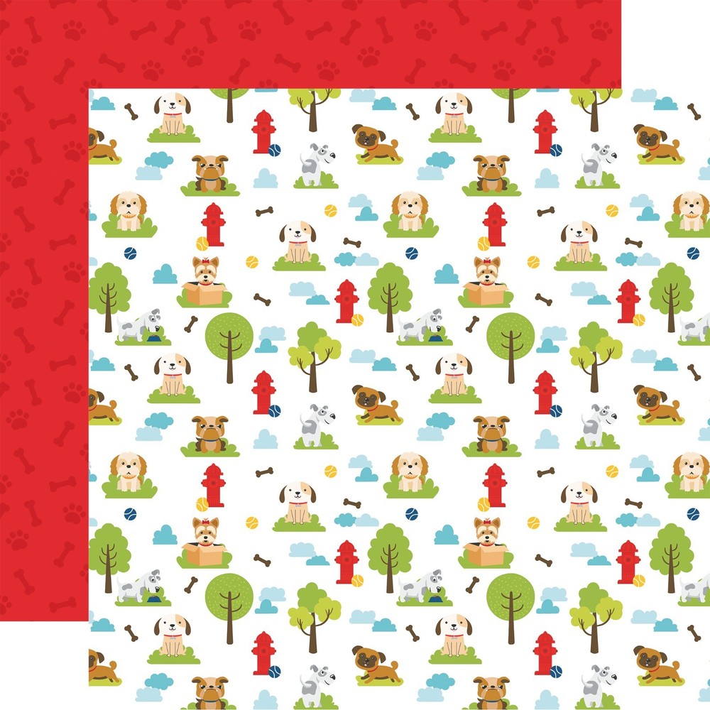 Pets Echo Park Collection Kit
