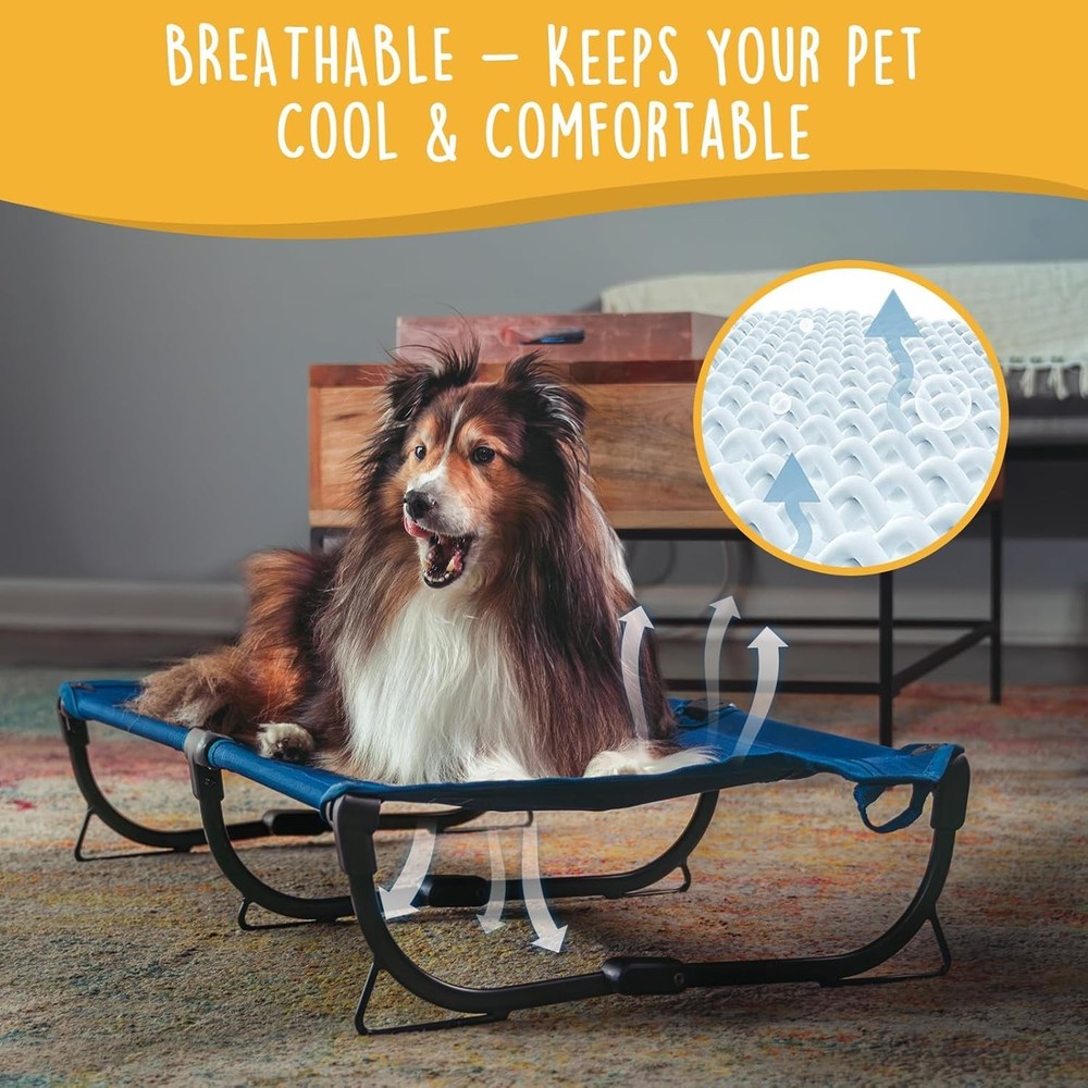 Daisy Folding Bed, Medium-Sized Foldable Elevated Pet Bed