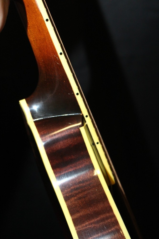 Wayne Henderson John Cephas Mandolin
