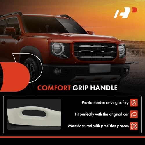 A Pillar Grab Handle Front Right Passenger Side Compatible with 2002-2010