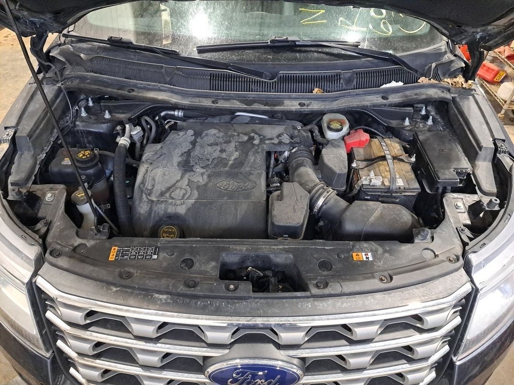 2017 Explorer Jack Sku#4371318