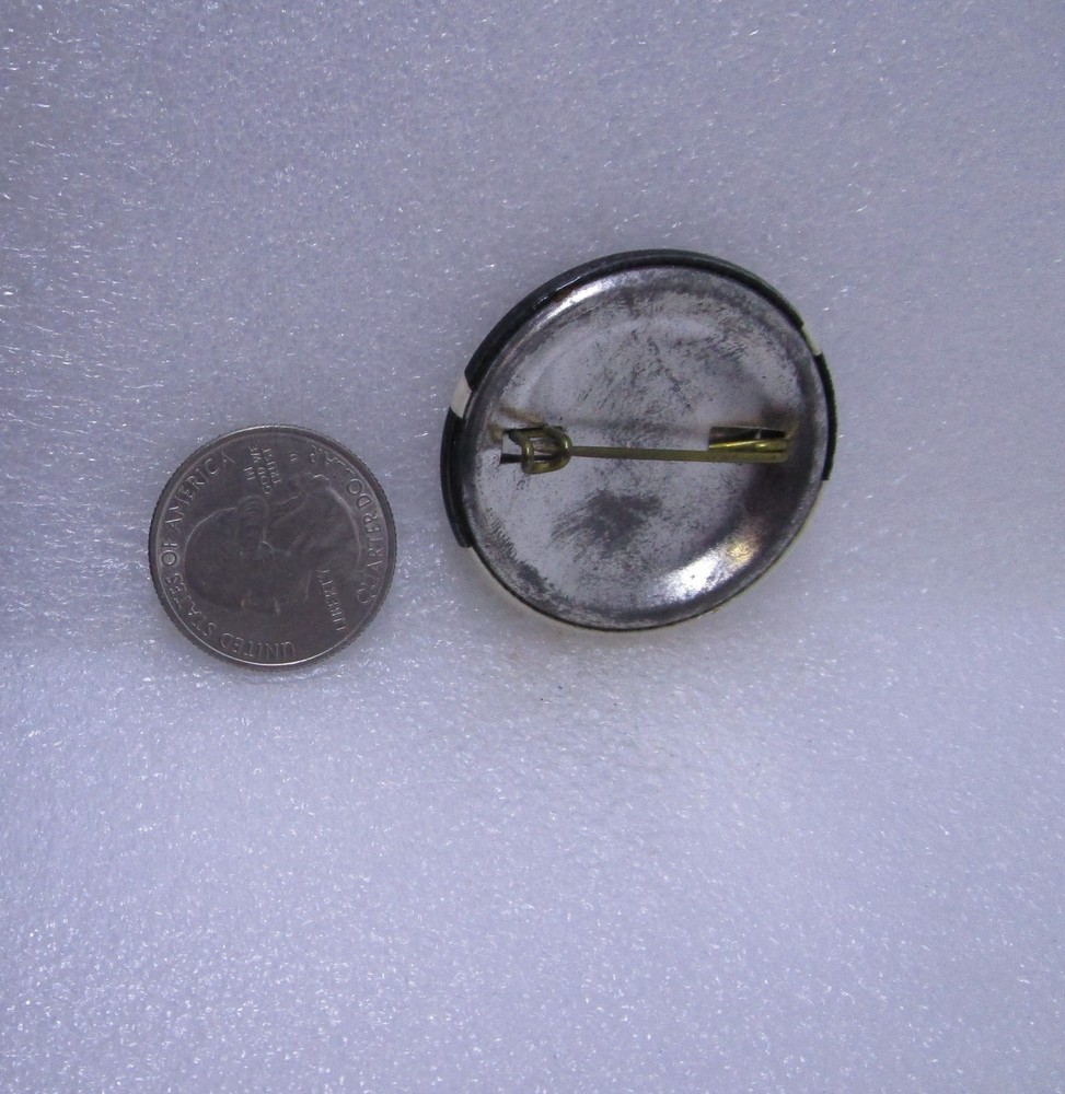 Okefenokee Georgia Button Pin