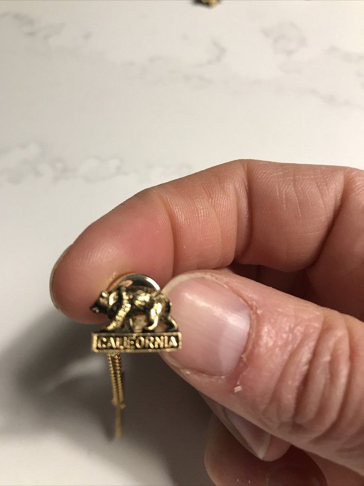 California State Bear Lapel Logo