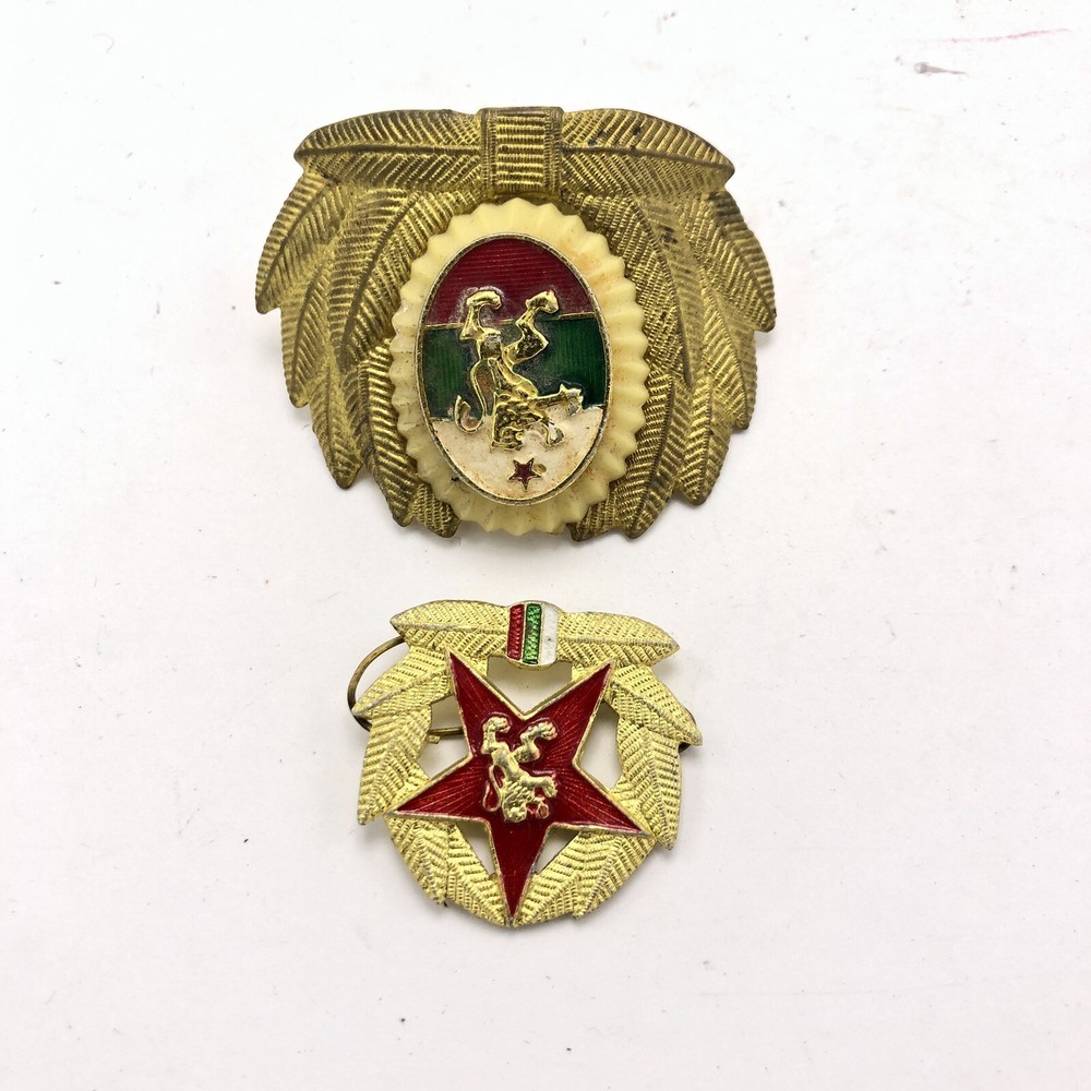 2 Lion Pins Military