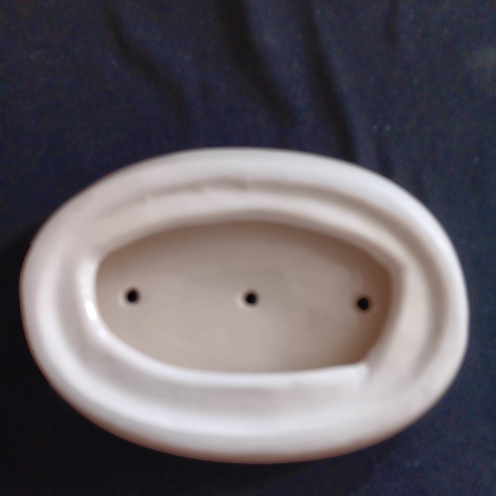 Hand Painted Ceramic Bathroom Set Soap Dish Cup Peacock Flowers