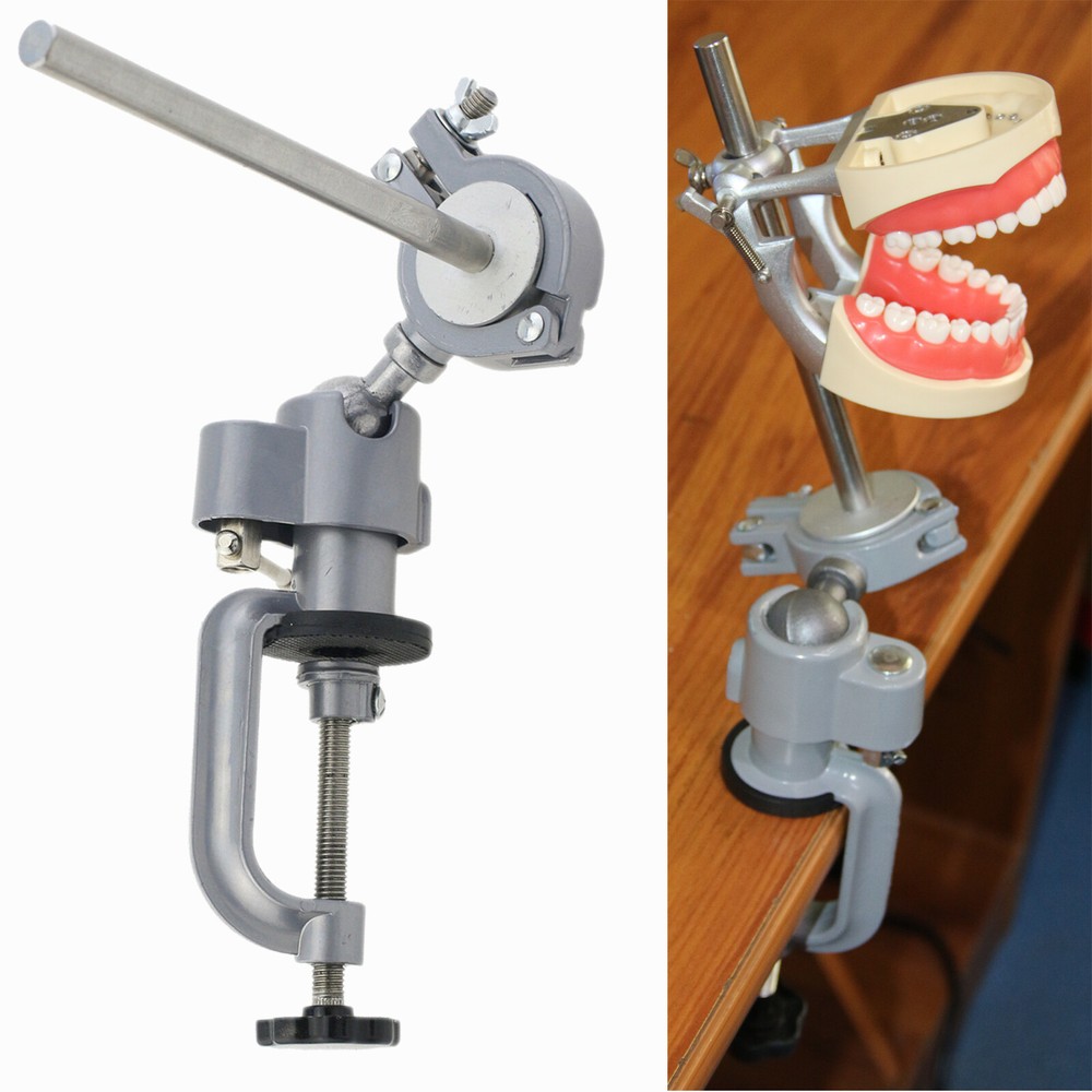 Dental Typodont Teeth Model Columbia 860 Dentoform Removeable UR UL LL LR Teeth