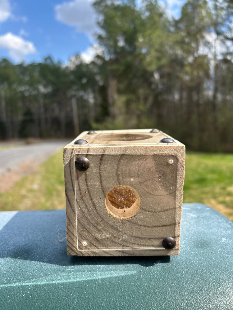 Carpenter Bee Trap