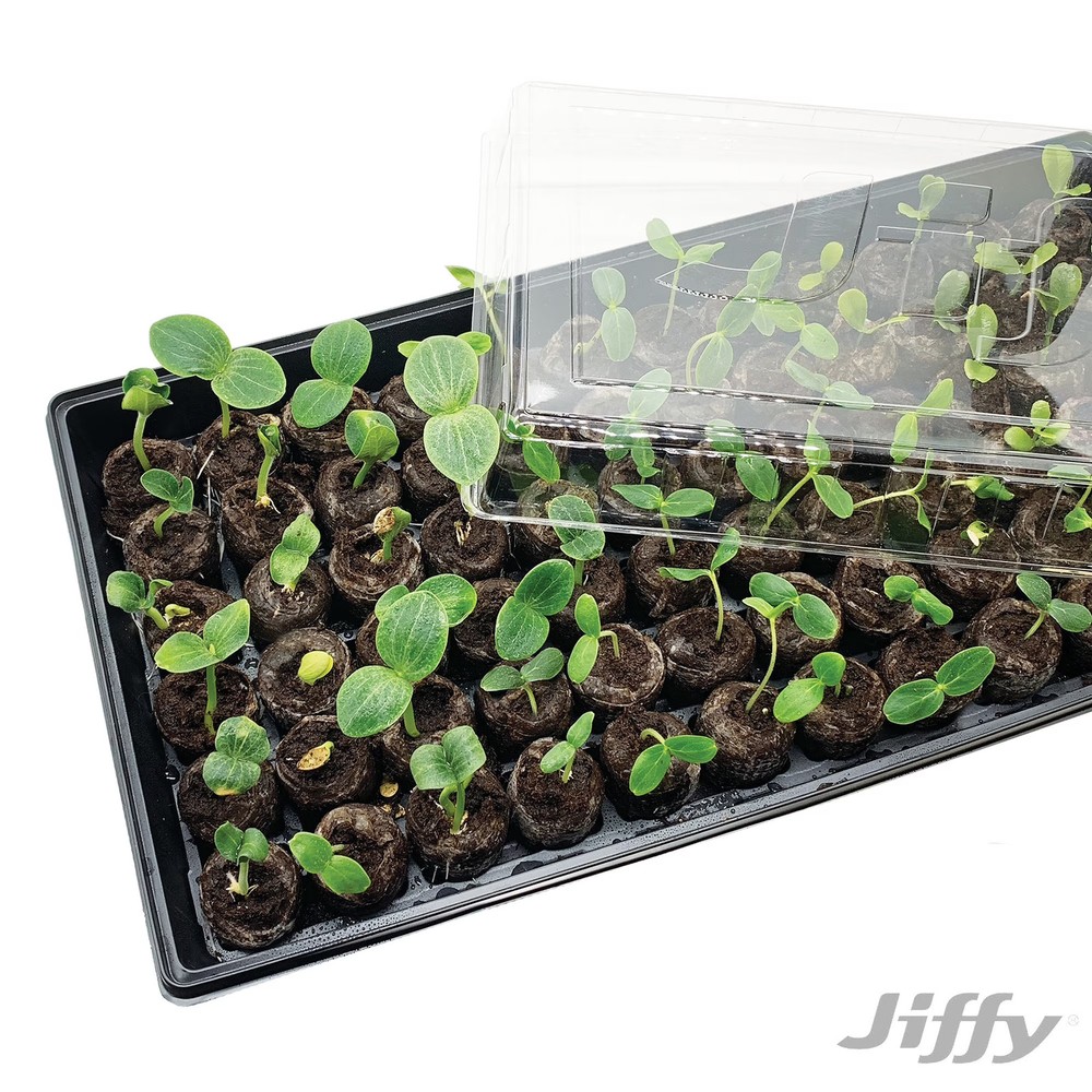 Greenhouse Seed Starter Kit with Peat Pellets