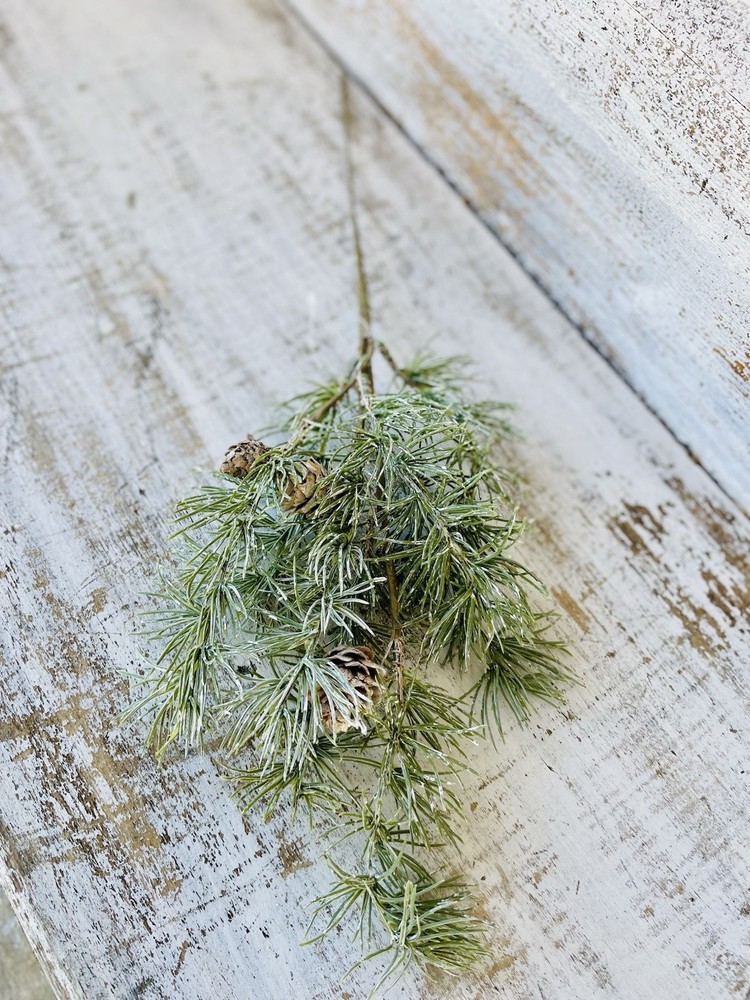Weeping Pine Spray, 19”