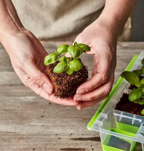 Burpee SuperSeed Seed Starting Tray | 36 Cell Assorted Sizes , Styles