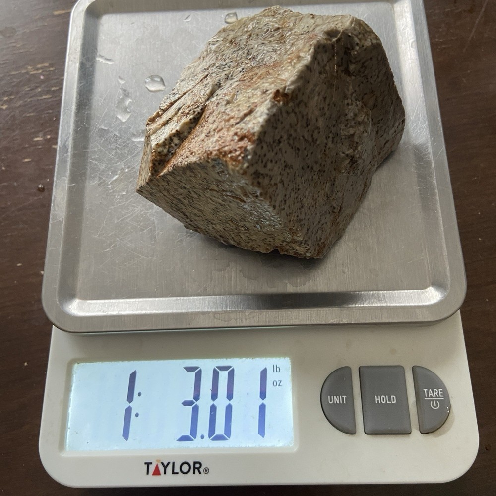 Oolite Agate Rough Lapidary Stone 1 Pound 3 Oz