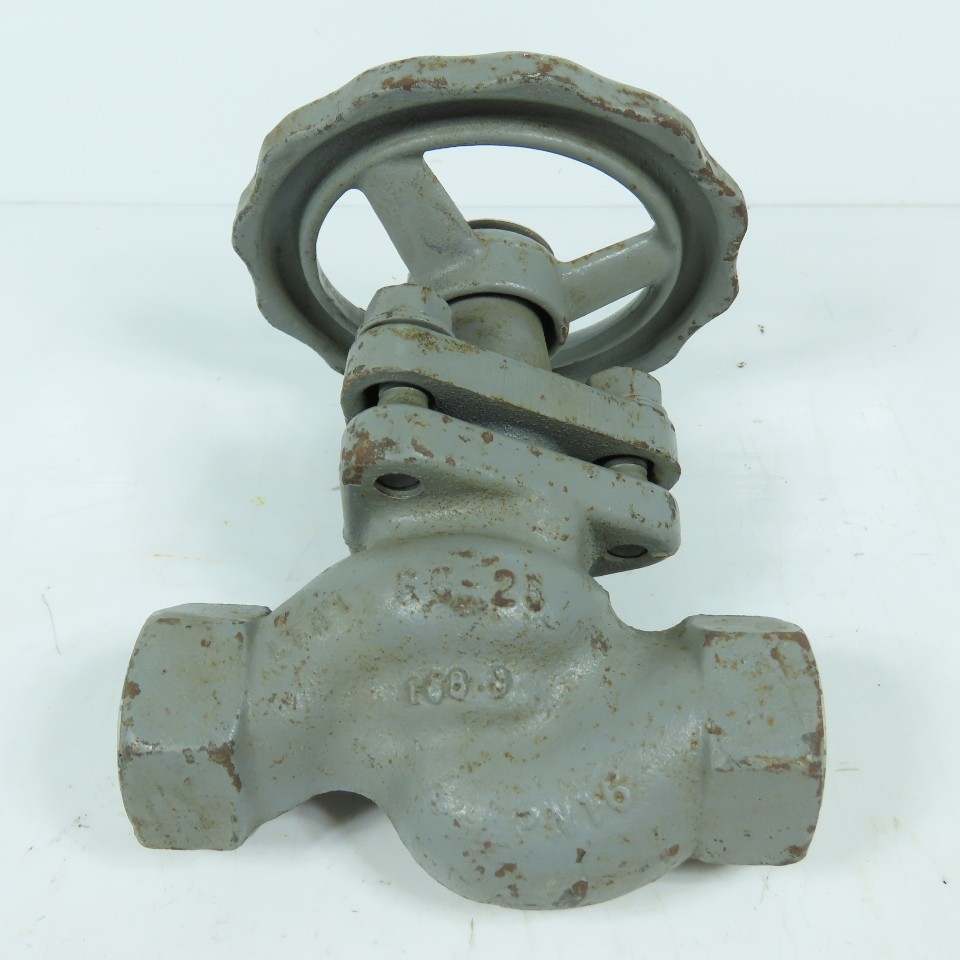 Klinger KX-Modul Piston Valve DN25 1" Threaded PN16