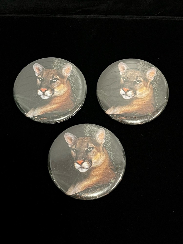 Vintage Florida Panther Button Pin