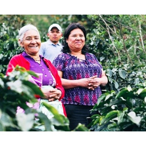 Fresh Roast SR-540 Automatic Coffee Bean Roaster