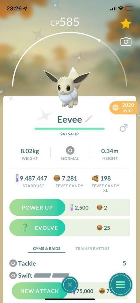 SHINY ✨ EEVEE!!! ✨ - PKMN GO!!! - NOT REGISTERED!!!